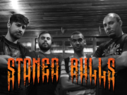 Stoned Bulls: videoclipe de “Good for Shit” acaba de ser lançado