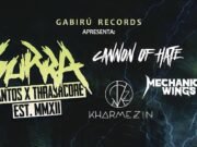 Surra: reunindo bandas convidadas em prol da tragédia da Zona Noroeste de Santos