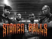 Stoned Bulls: confira o clipe da música “Caipira Costa Quente”