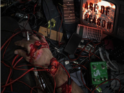 Resenha: Age of Reason – Carcadia (2020)