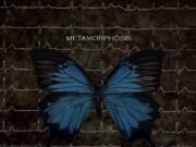 Resenha: Metamorphösis – Lia Kapp (2018)