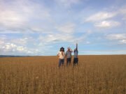 Centro da Terra: Últimas cópias da edição especial em vinil do mais recente disco