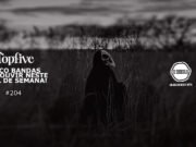 Topfive: cinco bandas para ouvir neste final de semana #204