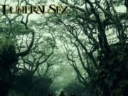 Resenha: The Gods Put The Demons On Earth – Funeral Sex (2022)